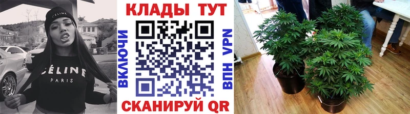 Купить закладку СОЛЬ  Мефедрон  Бутират  Cocaine  ГАШ  Городище