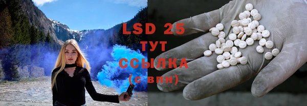 стафф Ельня