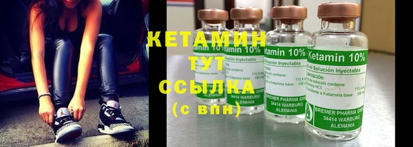 стафф Ельня