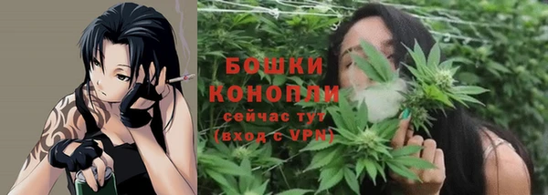 стафф Ельня
