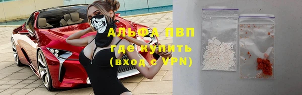 стафф Ельня