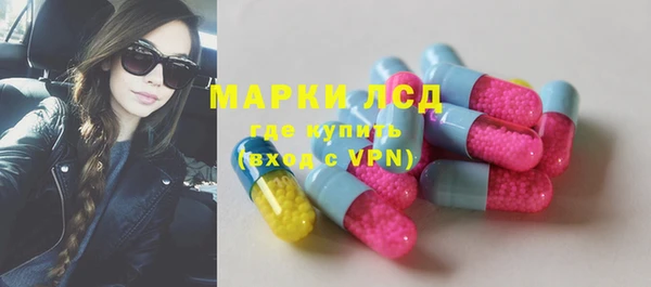 стафф Ельня