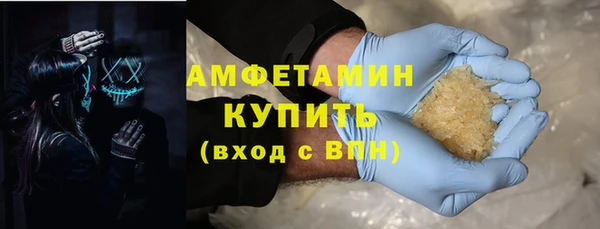 стафф Ельня