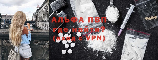 стафф Ельня