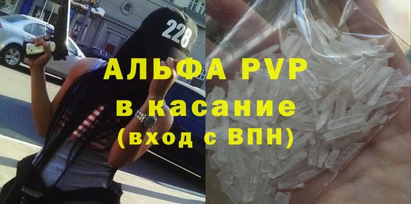 стафф Ельня