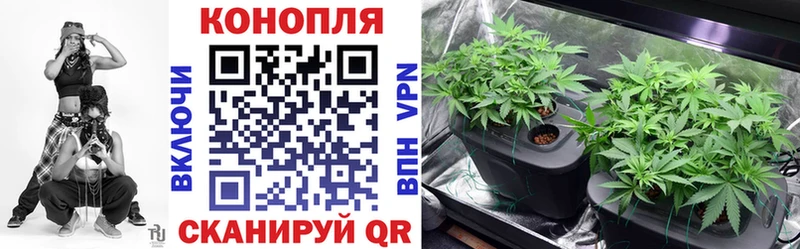 Марихуана семена Купить закладки Городище